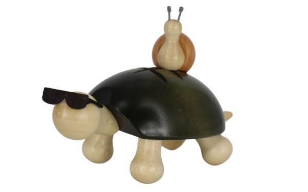 Miniature turtle Fred with snail by SEIFFEN.COM_1