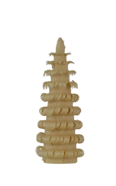 Ringelbäumchen - Spanbaum, 4 cm, natur von SEIFFEN.COM