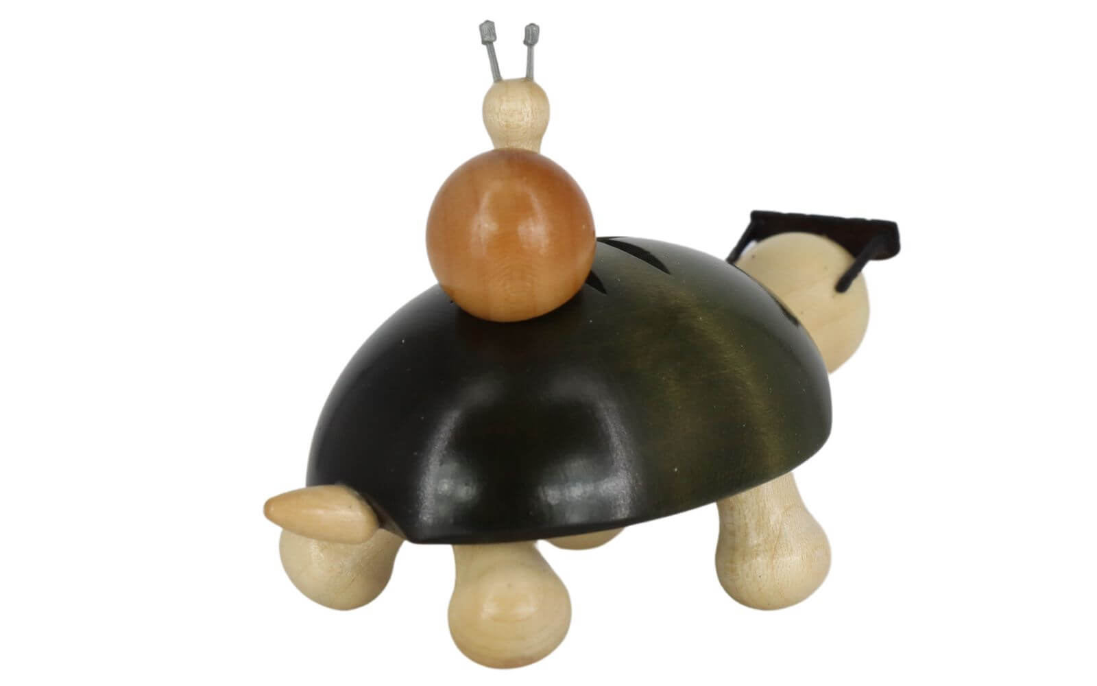 Miniature turtle Fred with snail by SEIFFEN.COM_2